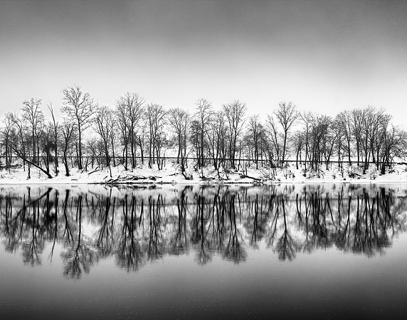 River Trees