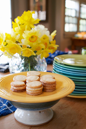 New Jersey Cookbook Photography